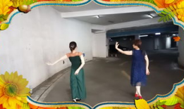 双人舞大全视频,经典舞步与浪漫旋律的完美融合